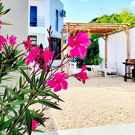 Vila Argoe Guest house